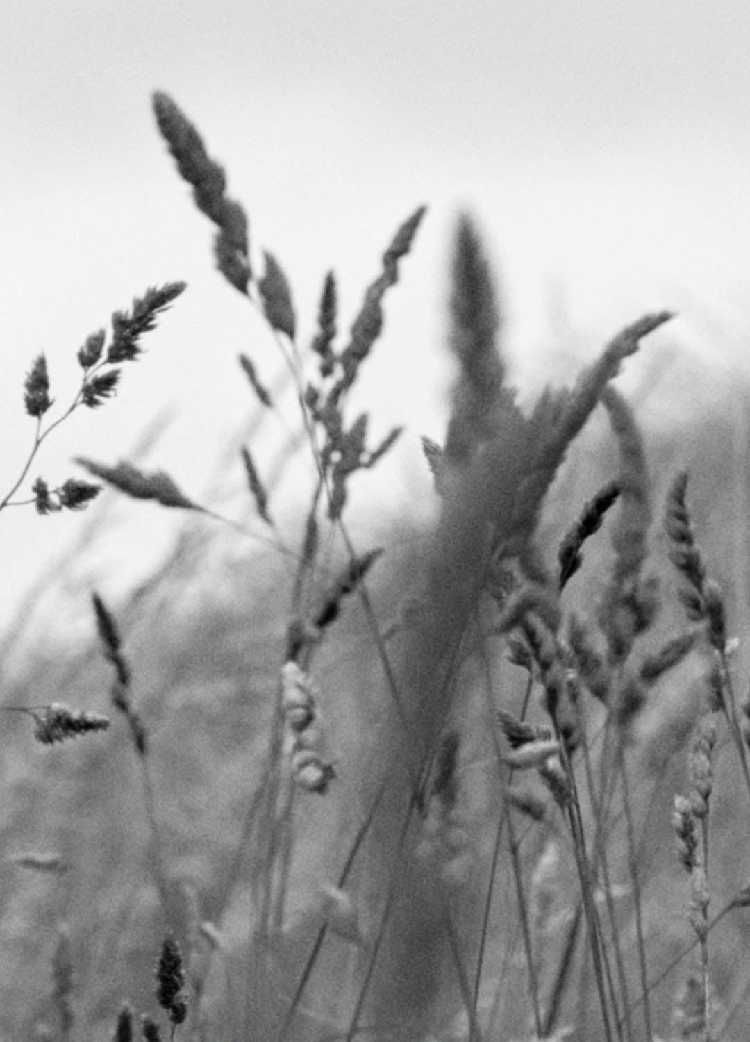 CAPSULE 1 | SOFT STRUCTURE | DISCOVER OUR CAMPAIGN IMAGES
