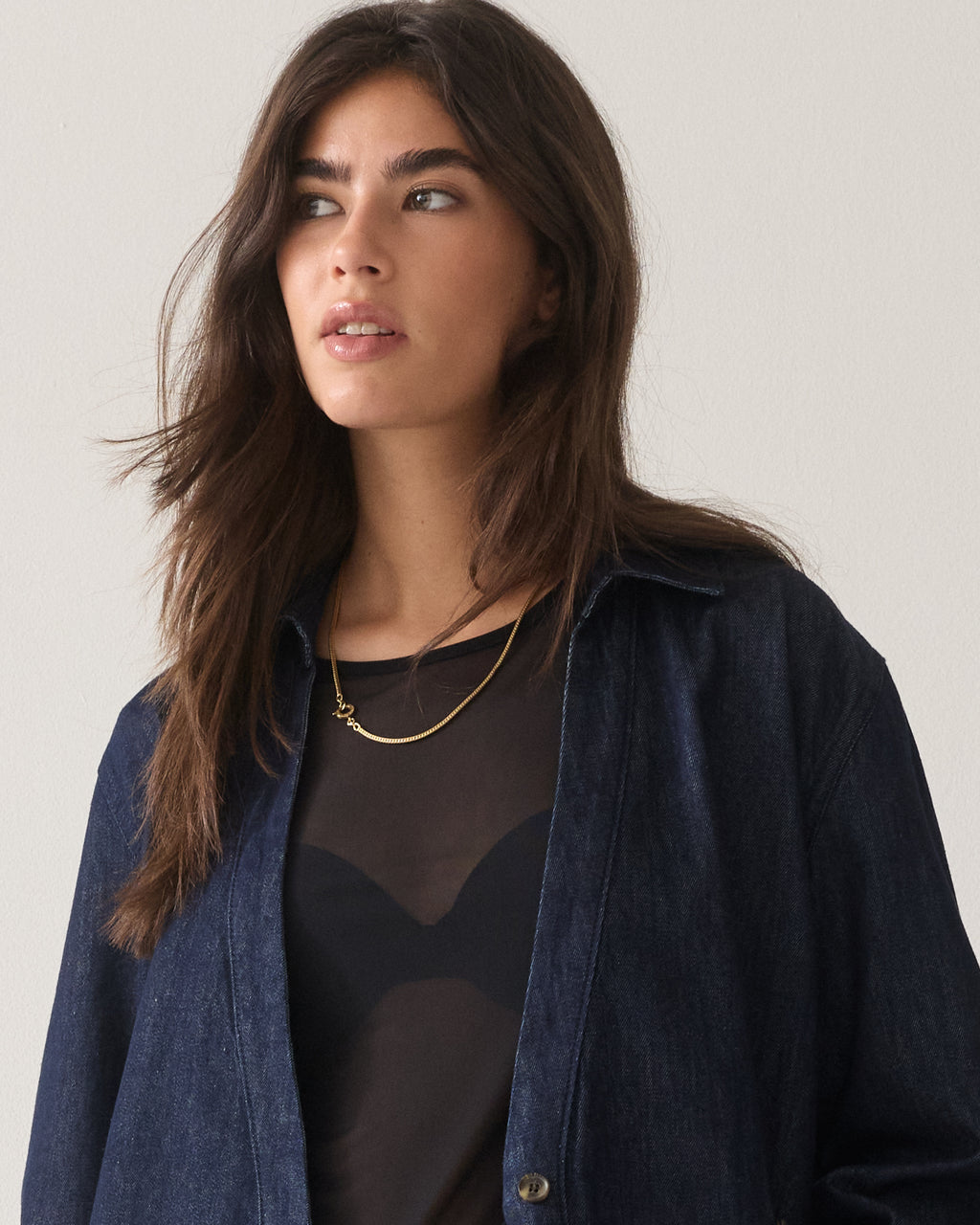 Transparent long-sleeved mesh top