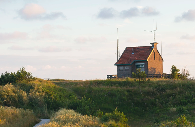 <p>SEAL SPOTTING </p>