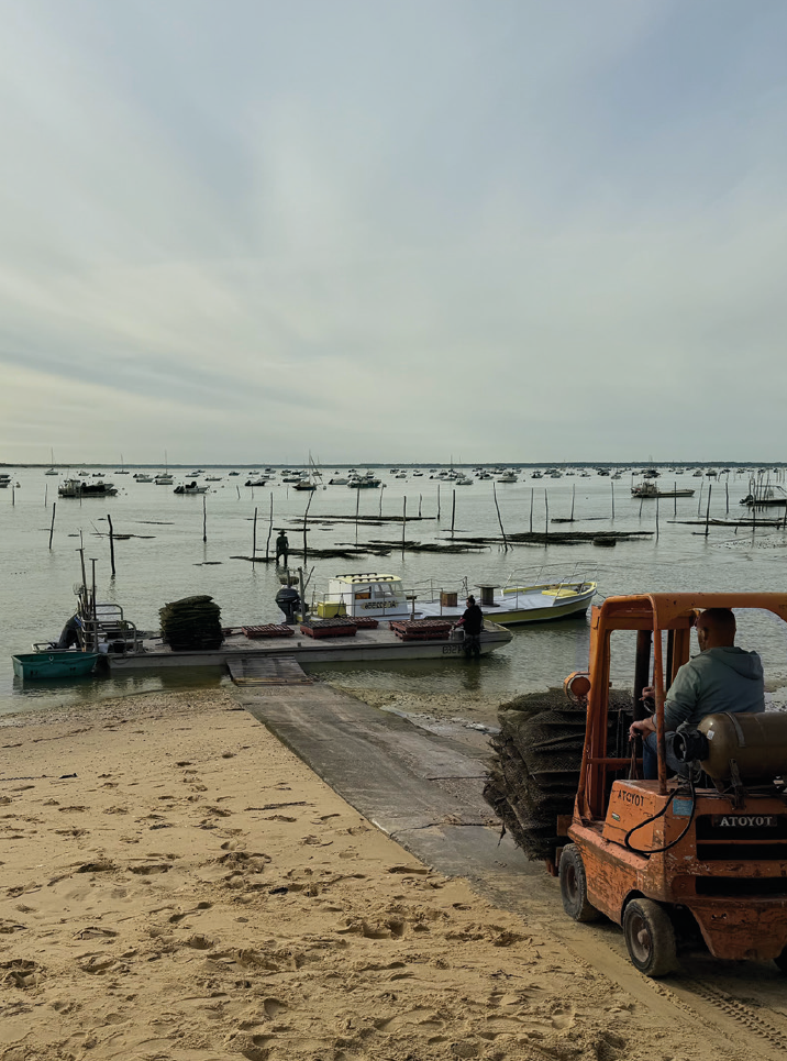 <p>Here, oyster farming – ostréiculture – is at its peak</p>